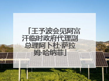 王予波会见阿富汗临时政府代理副总理阿卜杜·萨拉姆·哈纳菲