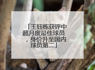 王钰栋获评中超月度最佳球员，身价升至国内球员第二