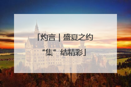 灼言｜盛夏之约 “集”结精彩