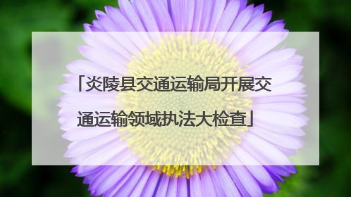 炎陵县交通运输局开展交通运输领域执法大检查