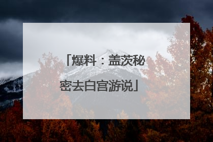 爆料：盖茨秘密去白宫游说