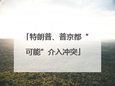 特朗普、普京都“可能”介入冲突