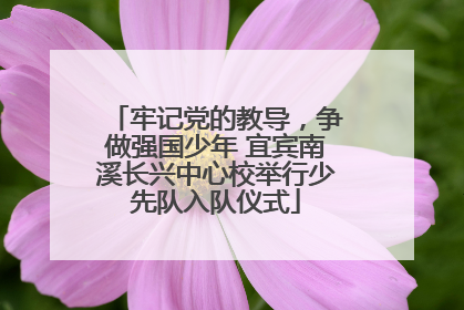 牢记党的教导，争做强国少年 宜宾南溪长兴中心校举行少先队入队仪式