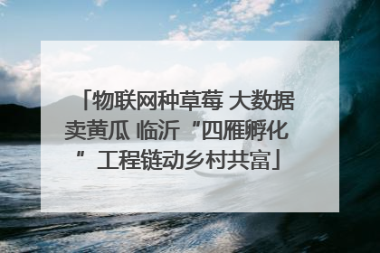 物联网种草莓 大数据卖黄瓜 临沂“四雁孵化”工程链动乡村共富