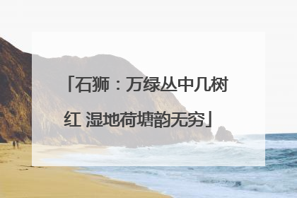 石狮：万绿丛中几树红 湿地荷塘韵无穷