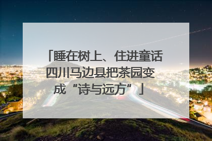 睡在树上、住进童话 四川马边县把茶园变成“诗与远方”