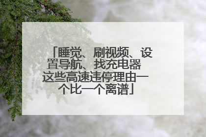 睡觉、刷视频、设置导航、找充电器 这些高速违停理由一个比一个离谱