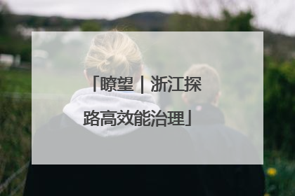 瞭望｜浙江探路高效能治理