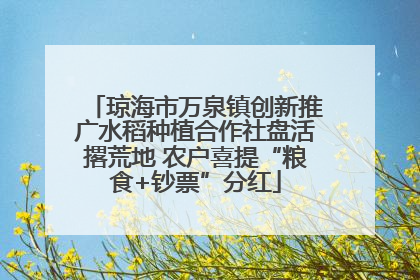 琼海市万泉镇创新推广水稻种植合作社盘活撂荒地 农户喜提“粮食+钞票”分红