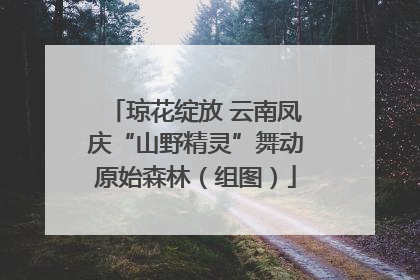 琼花绽放 云南凤庆“山野精灵”舞动原始森林（组图）