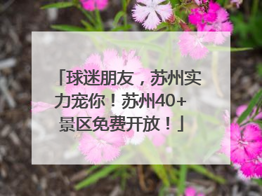 球迷朋友，苏州实力宠你！苏州40+景区免费开放！