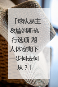 球队易主&詹姆斯执行选项 湖人休赛期下一步何去何从？