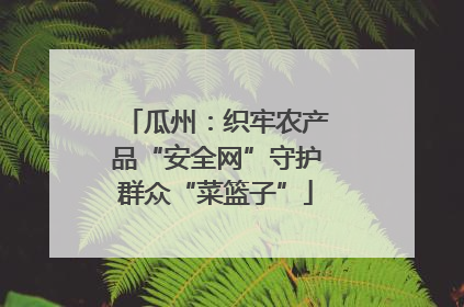 瓜州：织牢农产品“安全网”守护群众“菜篮子”