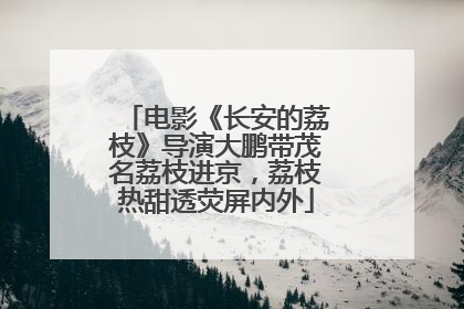 电影《长安的荔枝》导演大鹏带茂名荔枝进京，荔枝热甜透荧屏内外