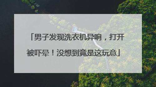 男子发现洗衣机异响，打开被吓晕！没想到竟是这玩意