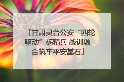 甘肃灵台公安“四轮驱动”砺精兵 战训融合筑牢平安基石