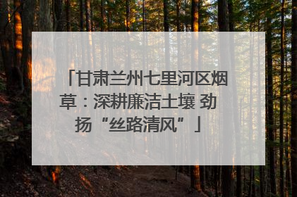 甘肃兰州七里河区烟草：深耕廉洁土壤 劲扬“丝路清风”