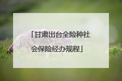 甘肃出台全险种社会保险经办规程