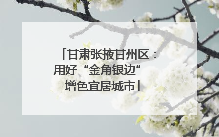 甘肃张掖甘州区：用好“金角银边” 增色宜居城市