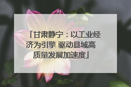 甘肃静宁：以工业经济为引擎 驱动县域高质量发展加速度