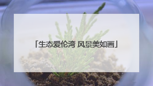 生态爱伦湾 风景美如画