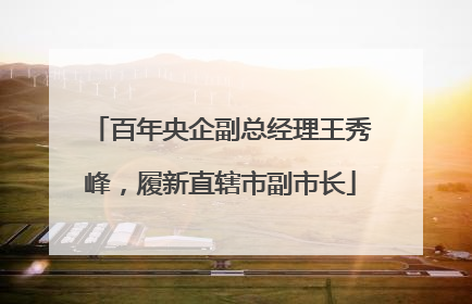 百年央企副总经理王秀峰，履新直辖市副市长