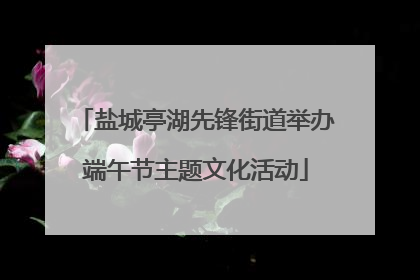 盐城亭湖先锋街道举办端午节主题文化活动