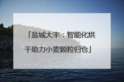 盐城大丰：智能化烘干助力小麦颗粒归仓