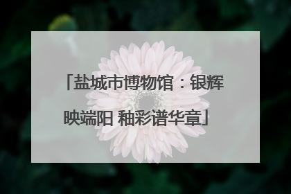 盐城市博物馆：银辉映端阳 釉彩谱华章