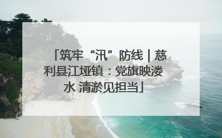 筑牢“汛”防线｜慈利县江垭镇：党旗映溇水 清淤见担当