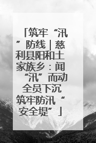 筑牢“汛”防线｜慈利县阳和土家族乡：闻“汛”而动 全员下沉筑牢防汛“安全堤”