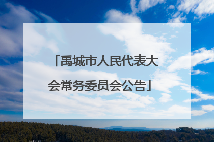 禹城市人民代表大会常务委员会公告