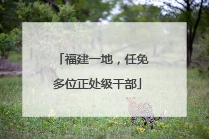 福建一地，任免多位正处级干部