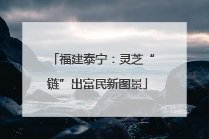福建泰宁：灵芝“链”出富民新图景