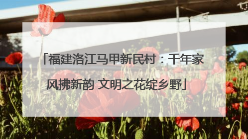 福建洛江马甲新民村：千年家风拂新韵 文明之花绽乡野