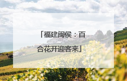 福建闽侯：百合花开迎客来