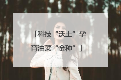 科技“沃土”孕育油菜“金种”
