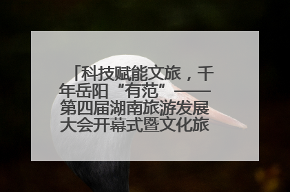 科技赋能文旅，千年岳阳“有范”——第四届湖南旅游发展大会开幕式暨文化旅游推介会侧记