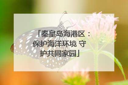 秦皇岛海港区：保护海洋环境 守护共同家园