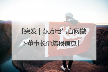 突发｜东方电气官网撤下董事长俞培根信息