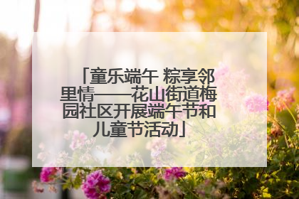 童乐端午 粽享邻里情——花山街道梅园社区开展端午节和儿童节活动