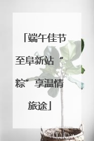 端午佳节至阜新站“粽”享温情旅途
