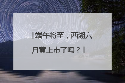 端午将至，西湖六月黄上市了吗？