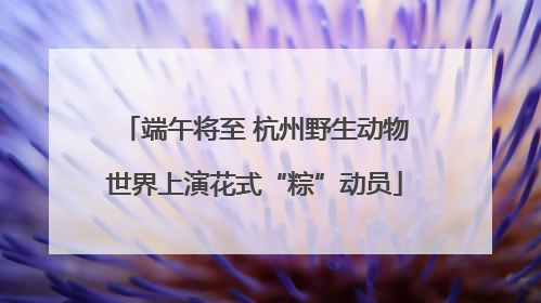 端午将至 杭州野生动物世界上演花式“粽”动员