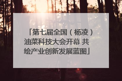 第七届全国（杨凌）油菜科技大会开幕 共绘产业创新发展蓝图