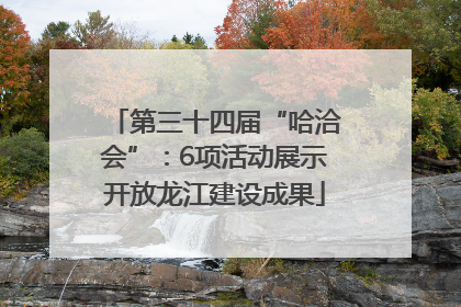 第三十四届“哈洽会”：6项活动展示开放龙江建设成果