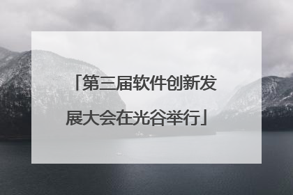 第三届软件创新发展大会在光谷举行