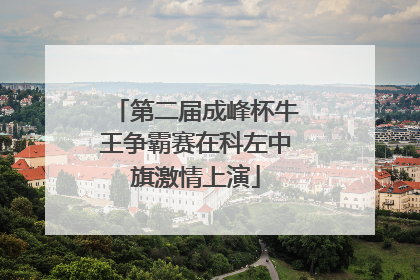 第二届成峰杯牛王争霸赛在科左中旗激情上演