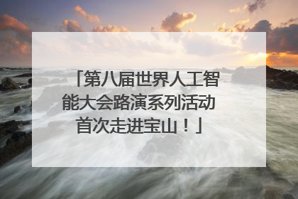 第八届世界人工智能大会路演系列活动首次走进宝山！