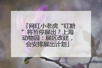 网红小老虎“红糖”将暂停展出？上海动物园：展区改建，会安排展出计划